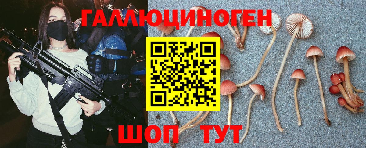 Псилоцибиновые грибы MAGIC MUSHROOMS  Вход с VPN  Фрязино 